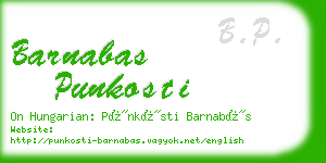 barnabas punkosti business card